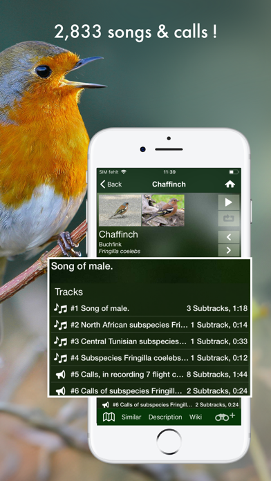 BIRD SONGS Europe North Africa Screenshots