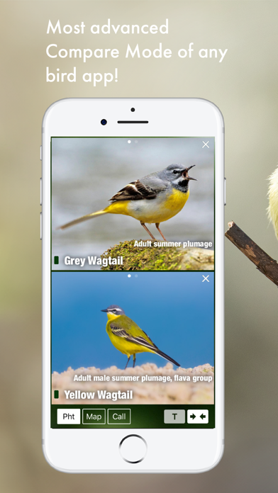 BIRD SONGS Europe North Africa Screenshots