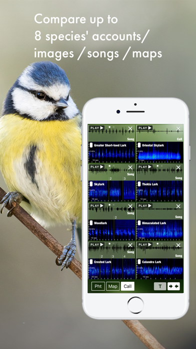 BIRD SONGS Europe North Africa Screenshots