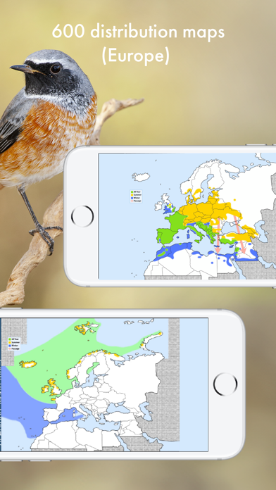 BIRD SONGS Europe North Africa Screenshots