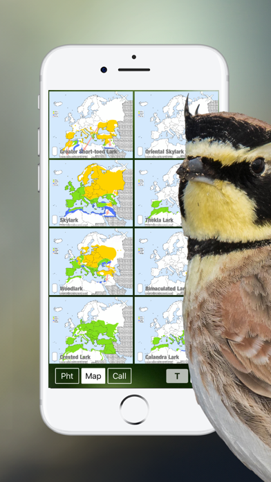 BIRD SONGS Europe North Africa Screenshots