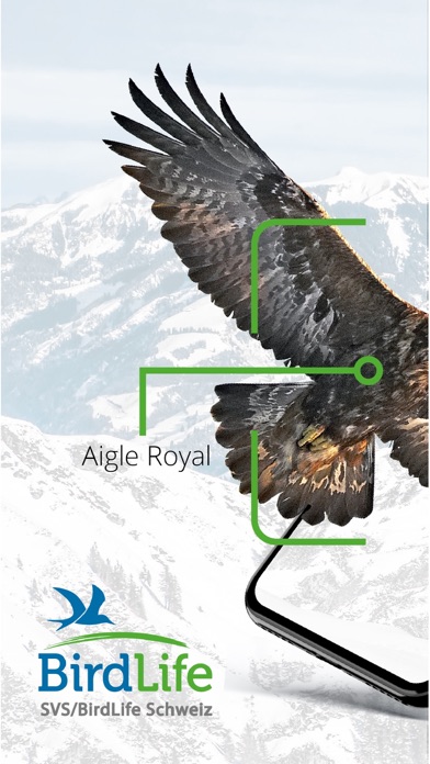 Vogelführer Birdlife Schweiz Screenshots