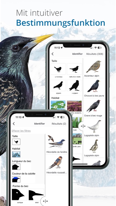 Vogelführer Birdlife Schweiz Screenshots