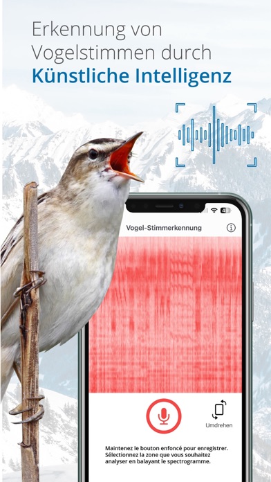 Vogelführer Birdlife Schweiz Screenshots