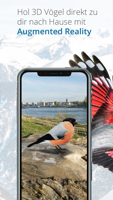 Vogelführer Birdlife Schweiz Screenshots