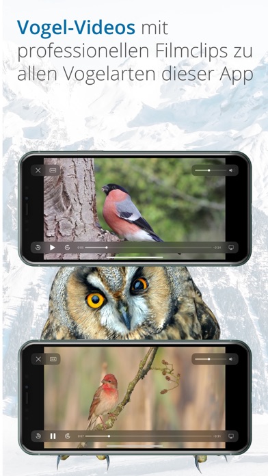 Vogelführer Birdlife Schweiz Screenshots