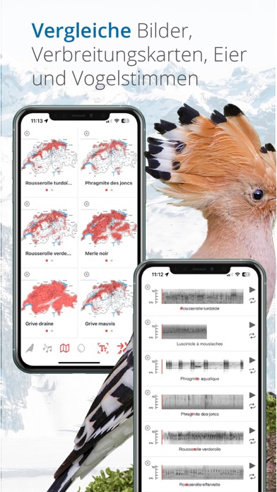 Vogelführer Birdlife Schweiz Screenshots