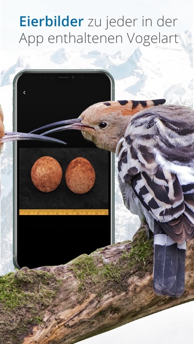 Vogelführer Birdlife Schweiz Screenshots
