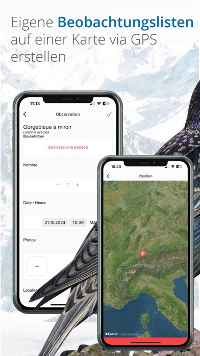 Vogelführer Birdlife Schweiz Screenshots