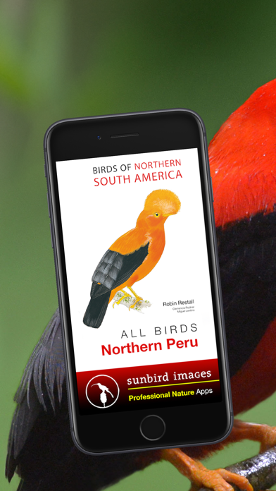 All Birds Northern Peru Screenshots