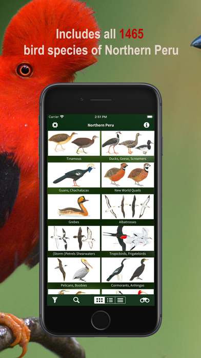 All Birds Northern Peru Screenshots