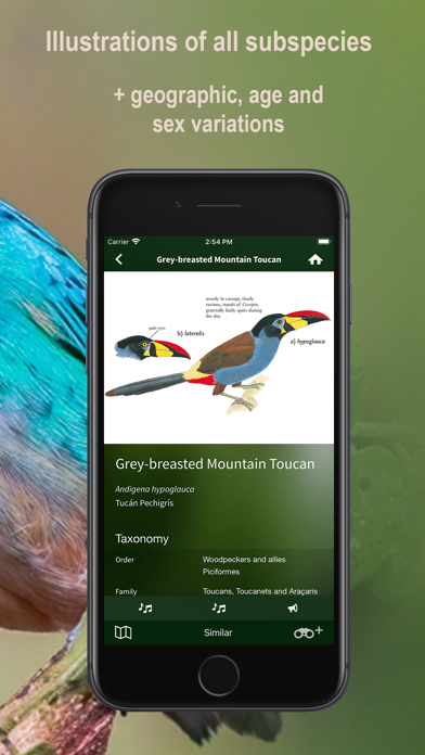 All Birds Northern Peru Screenshots