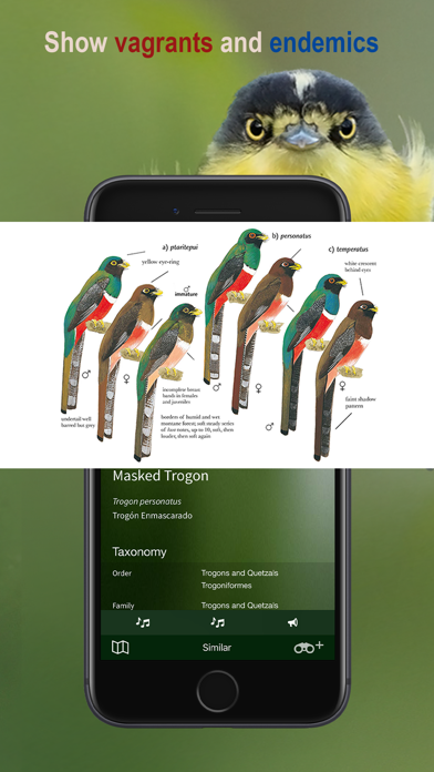 All Birds Northern Peru Screenshots