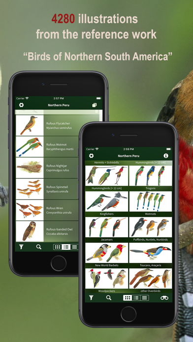 All Birds Northern Peru Screenshots