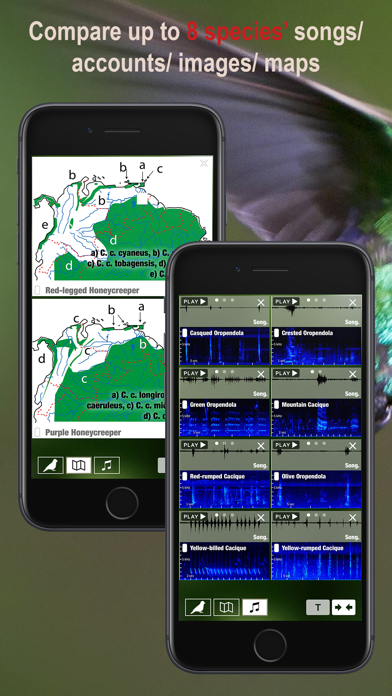 All Birds Northern Peru Screenshots