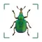 BUND Insekten Kosmos