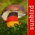 Pilzführer Deutschland, Pilze!