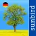 Alle Bäume Deutschland - 1000 Arten bestimmen