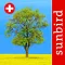 Baum Id Schweiz - Naturführer
