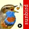 Cantos de Aves Id