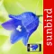Blumen Id Automatik