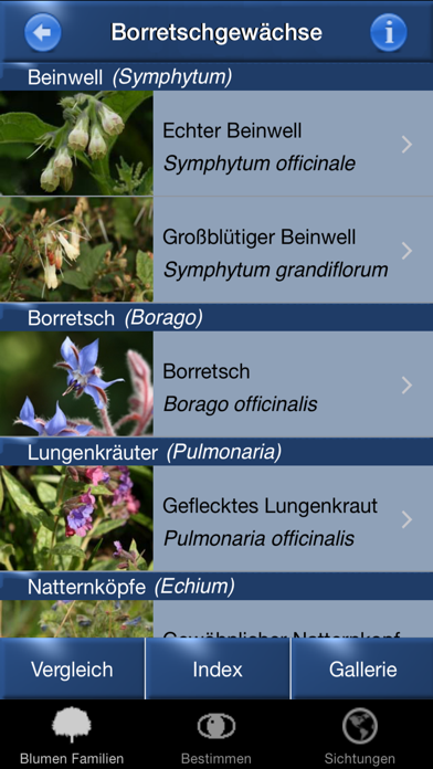 Blumen Id Automatik Screenshots