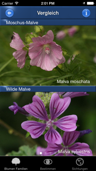 Blumen Id Automatik Screenshots