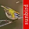 Vogel Id Schweiz