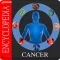 Cancer Diseases