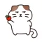 우리집 햄냥이 쨈쀼2