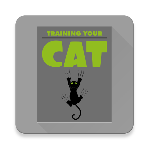 Training Your Cat