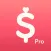 Minibudget Pro