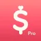 Minibudget Pro