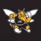 AIC Yellow Jackets