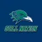 Endicott Gull Nation