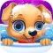 Labrador Puppy Pet Vet Care