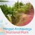 Mingan Archipelago
