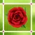 Flower Merge