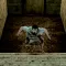 Scary Tales - Horror Game