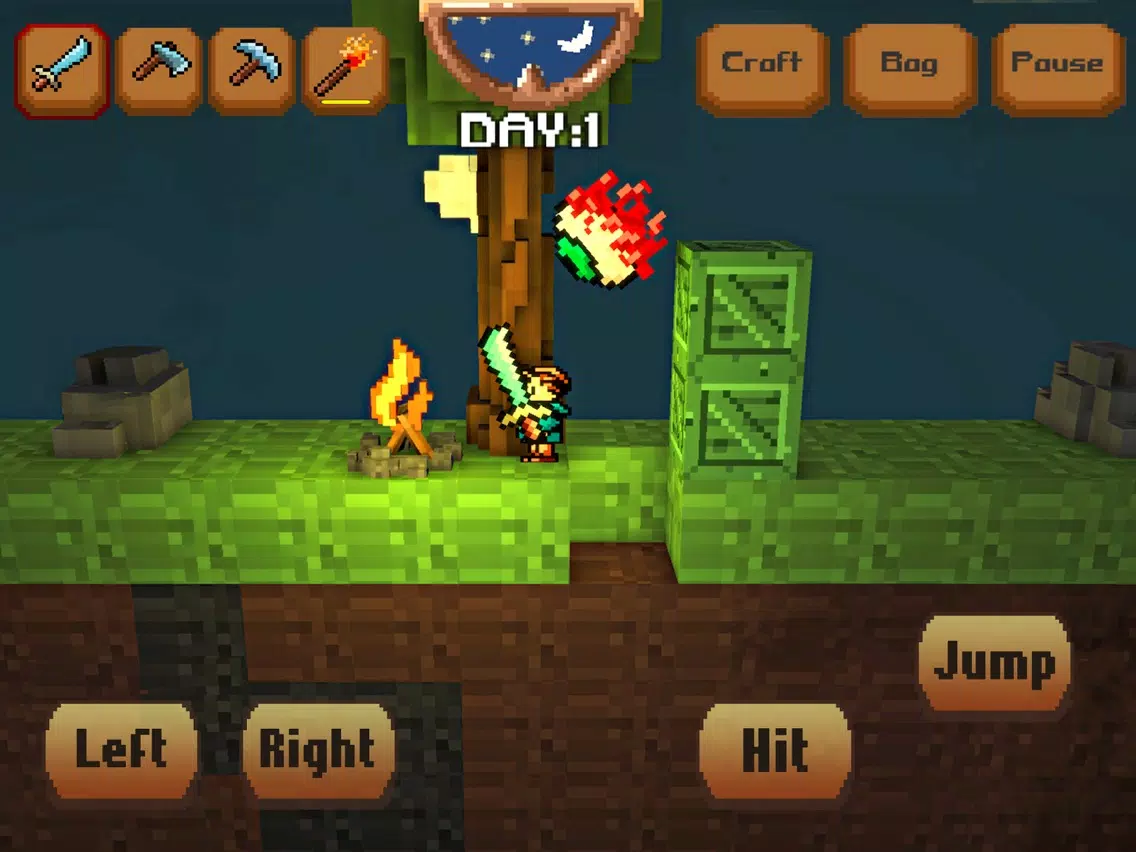 Tangkapan layar Pixel Craft 3D iPad 