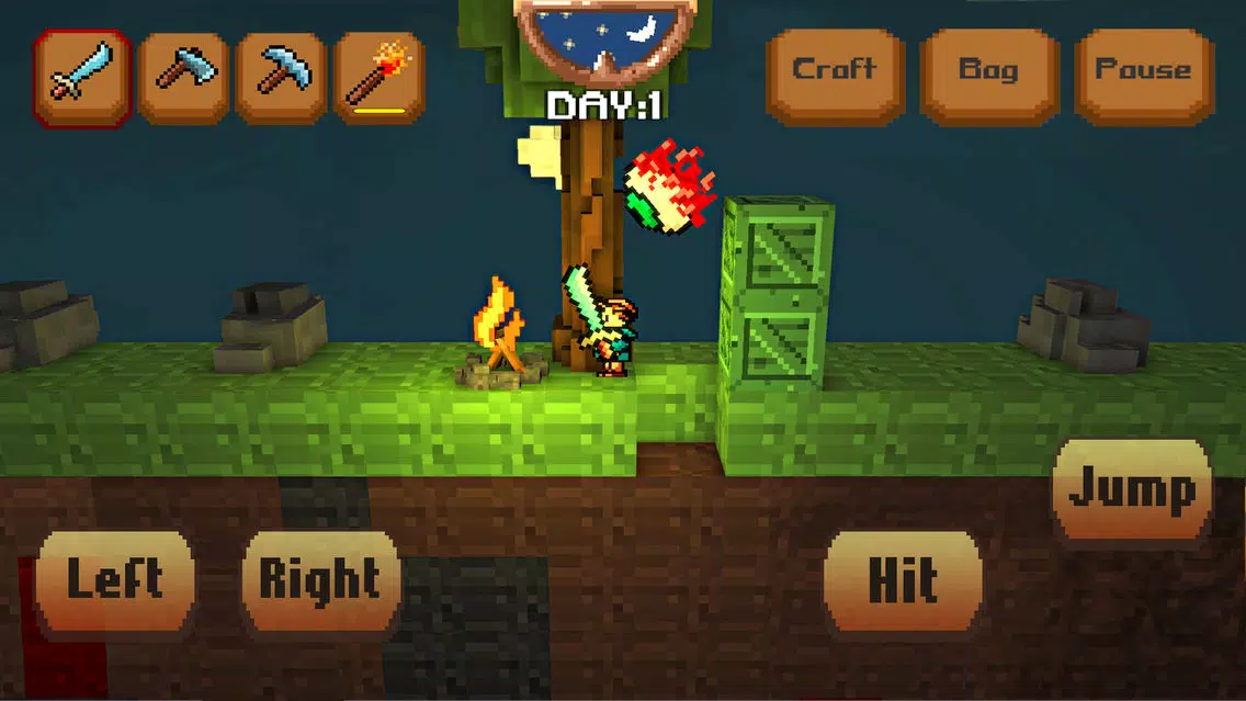 Tangkapan layar Pixel Craft 3D
