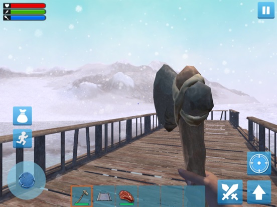 Forest Survival: Winter Island iPad  Screenshots