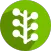 Path Tree