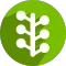 Path Tree