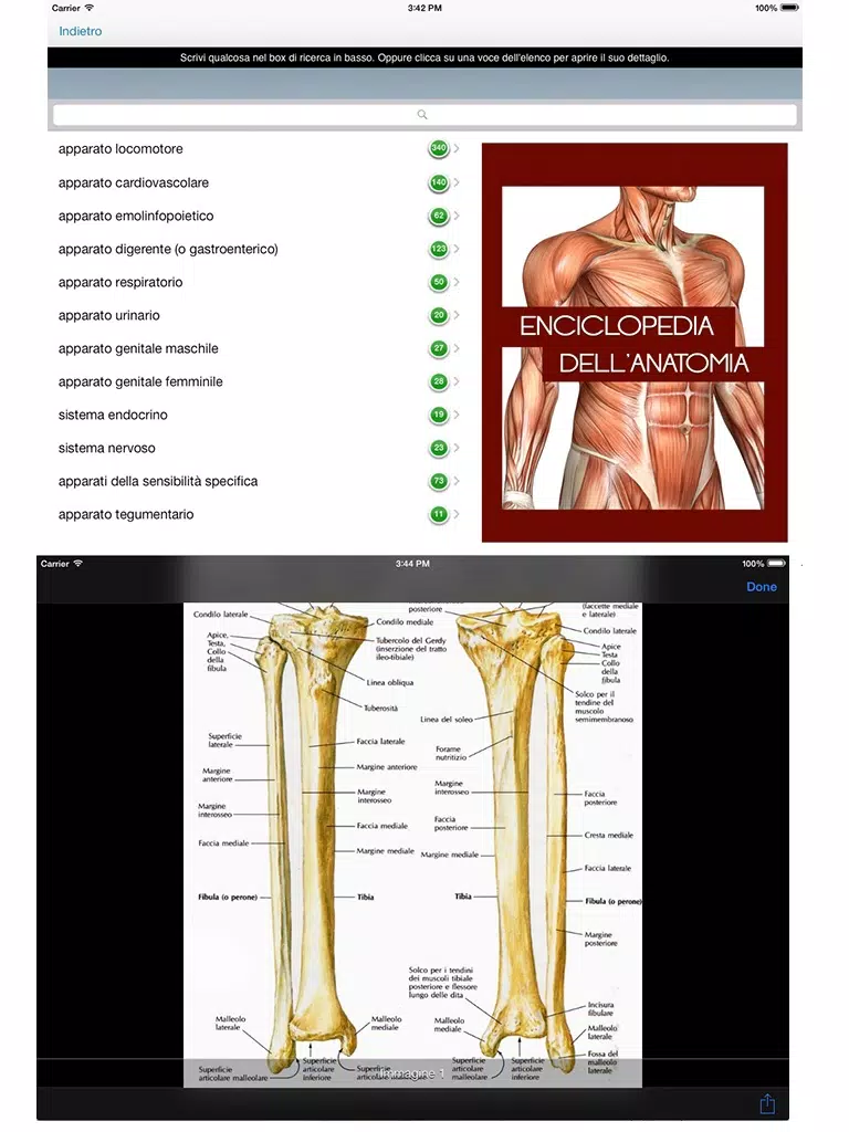 Enciclopedia dell'ANATOMIA - FREE iPad Screenshots