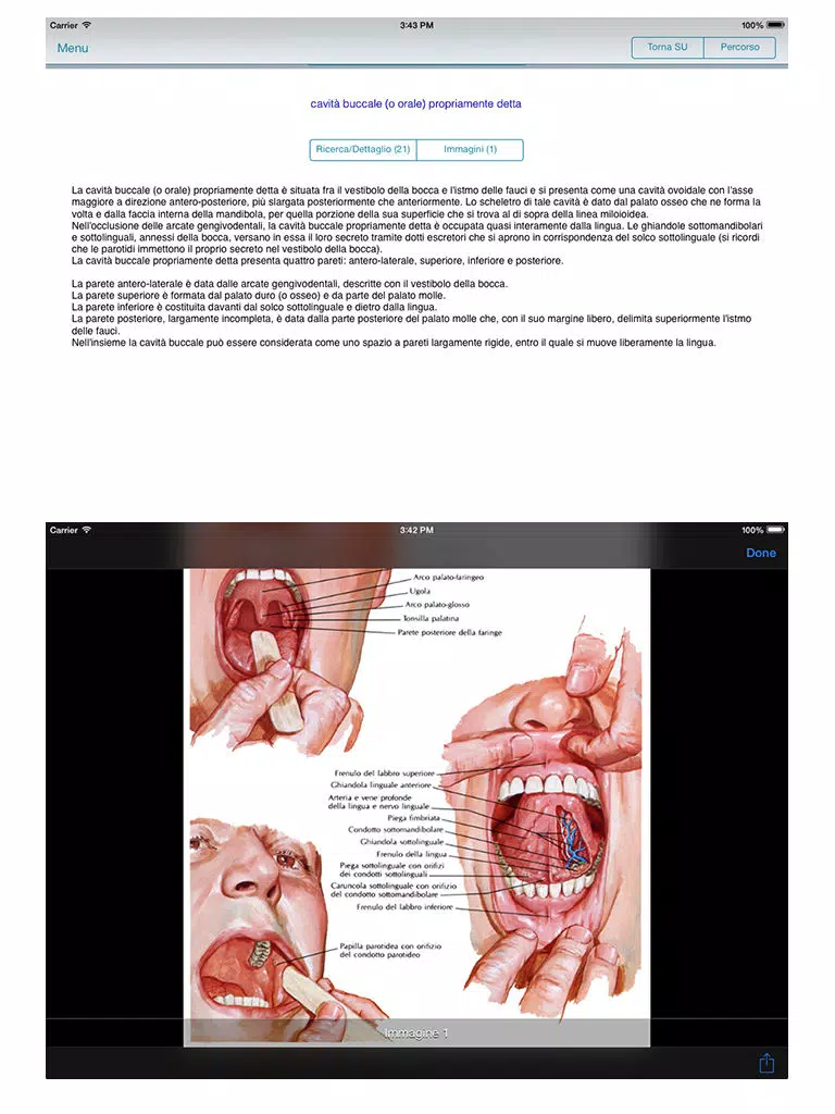 Enciclopedia dell'ANATOMIA - FREE iPad Screenshots
