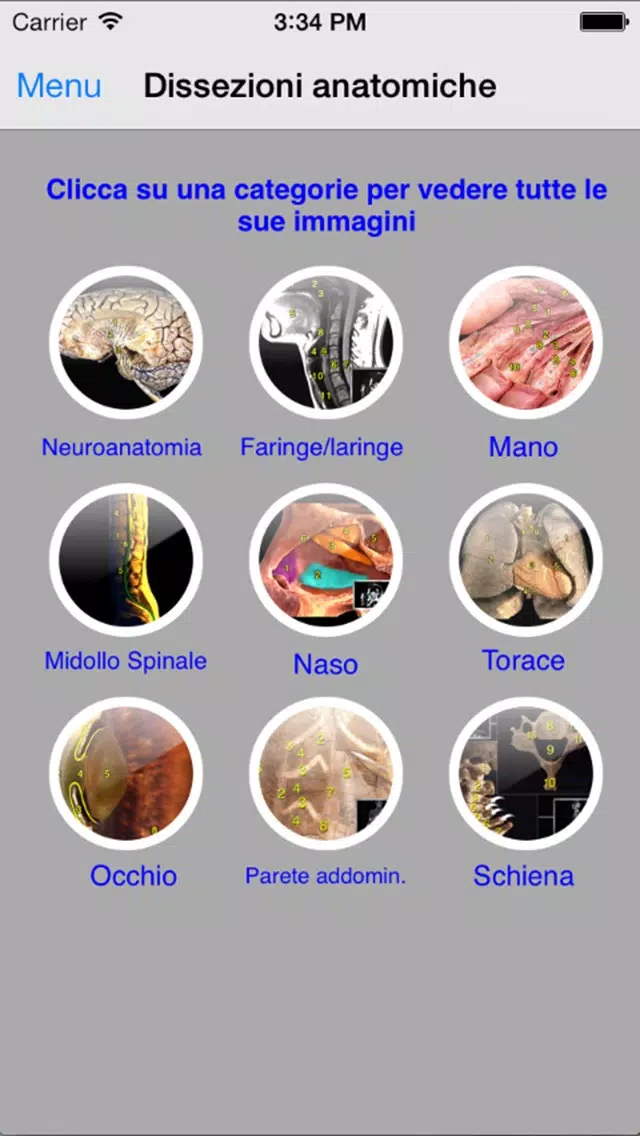 Enciclopedia dell'ANATOMIA - FREE Screenshots
