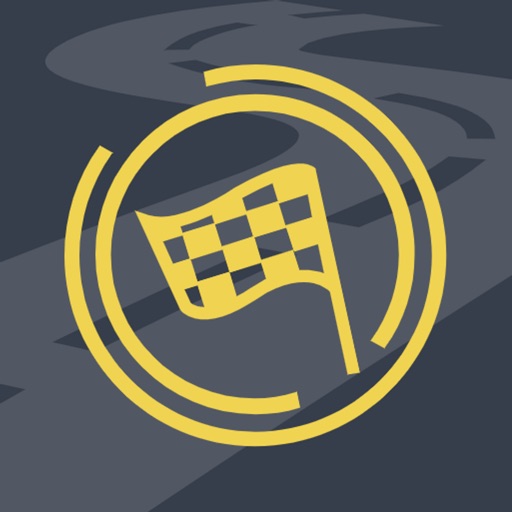 Race Stats: Speedo and G Force Race Stats: Speedo and G Force