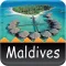 Maldives Offline Travel Guide