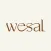 وصال - Wesal